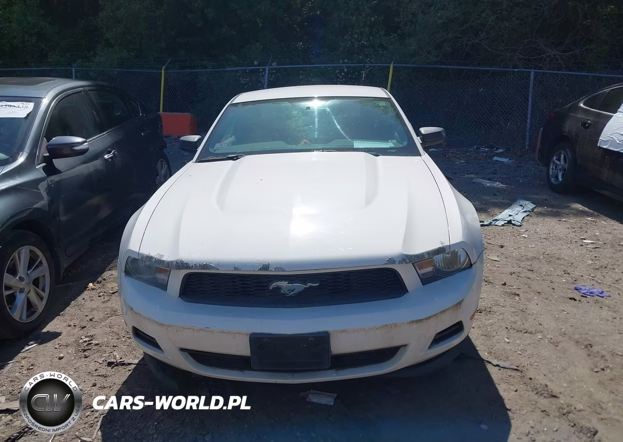 2011 Ford Mustang V6 VIN:1ZVBP8AMXB5132447 - 12