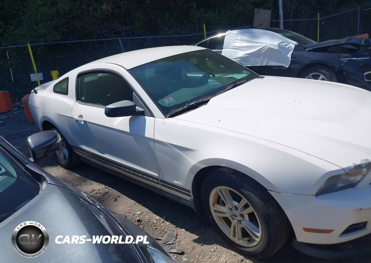 2011 Ford Mustang V6 VIN:1ZVBP8AMXB5132447 - 13