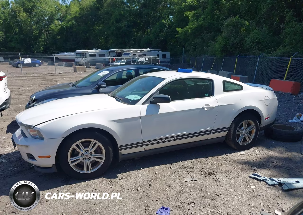 2011 Ford Mustang V6 VIN:1ZVBP8AMXB5132447 - 14