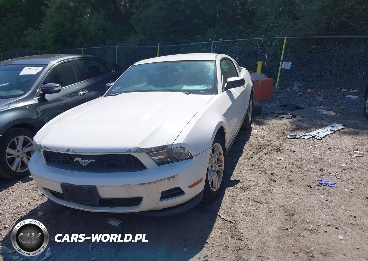 2011 Ford Mustang V6 VIN:1ZVBP8AMXB5132447 - 2