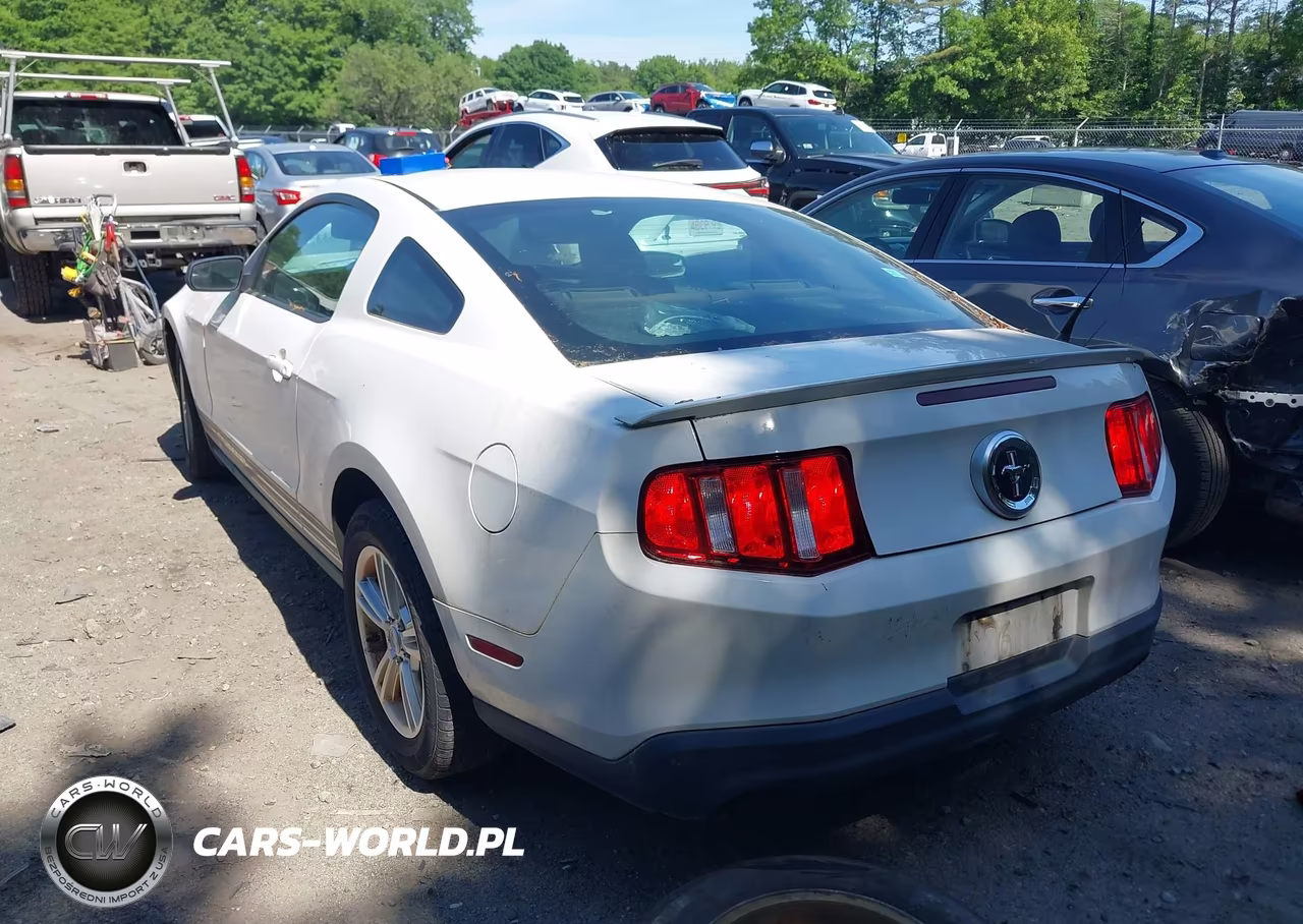 2011 Ford Mustang V6 VIN:1ZVBP8AMXB5132447 - 3