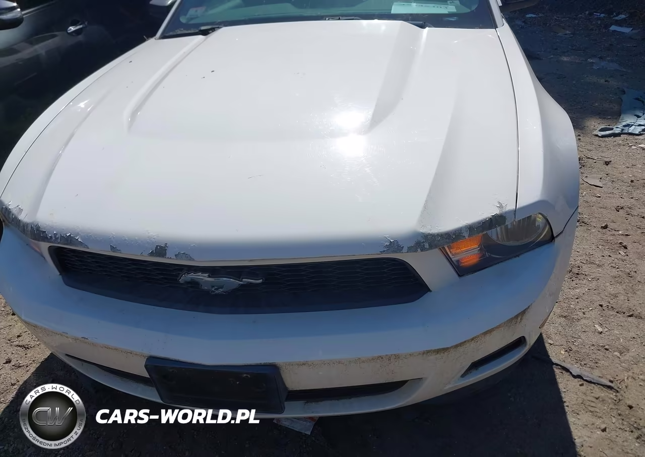 2011 Ford Mustang V6 VIN:1ZVBP8AMXB5132447 - 6