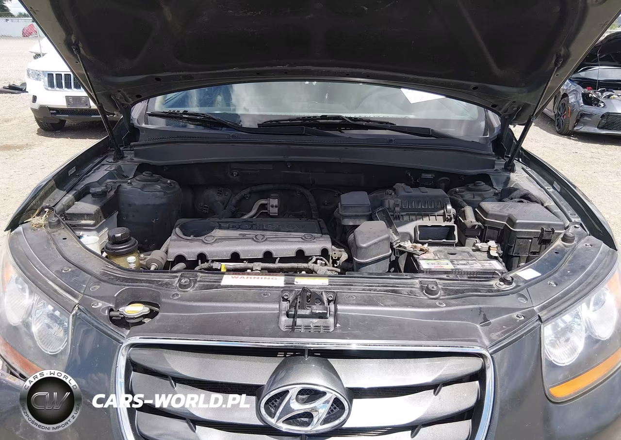 2010 Hyundai Santa Fe Gls VIN:5NMSGDAB0AH351861 - 10