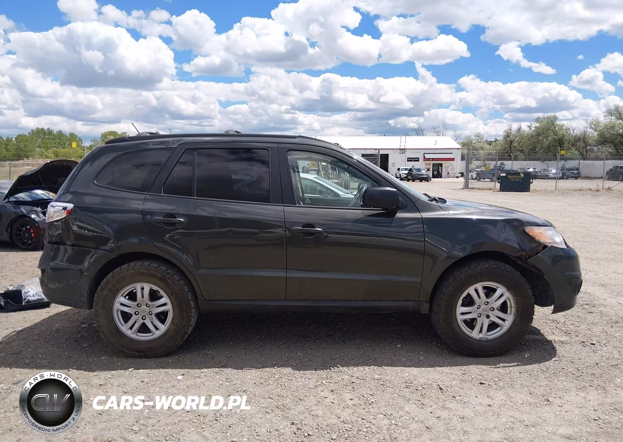 2010 Hyundai Santa Fe Gls VIN:5NMSGDAB0AH351861 - 14