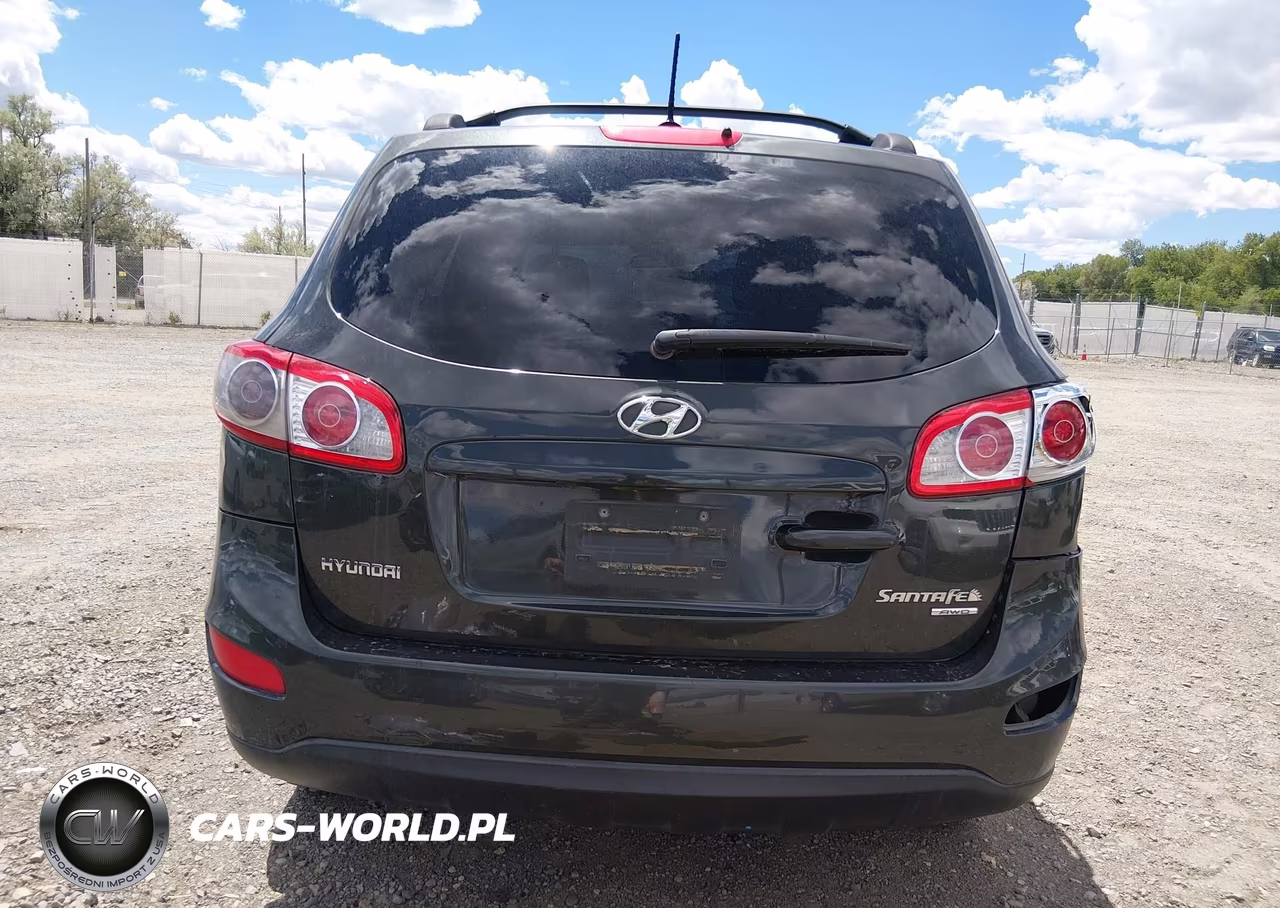 2010 Hyundai Santa Fe Gls VIN:5NMSGDAB0AH351861 - 17