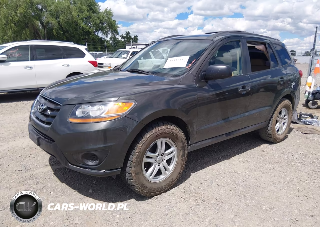 2010 Hyundai Santa Fe Gls VIN:5NMSGDAB0AH351861 - 2