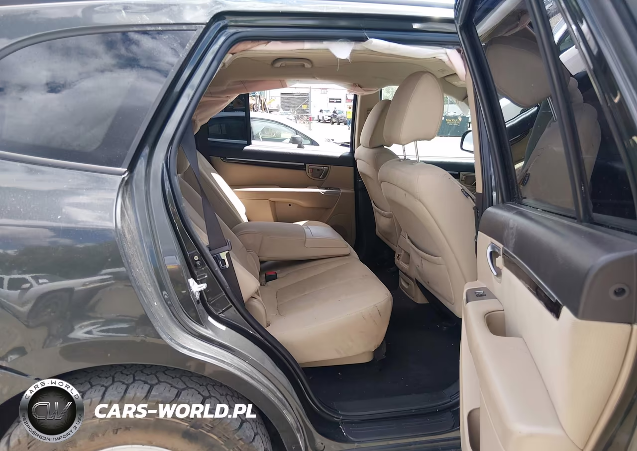 2010 Hyundai Santa Fe Gls VIN:5NMSGDAB0AH351861 - 8
