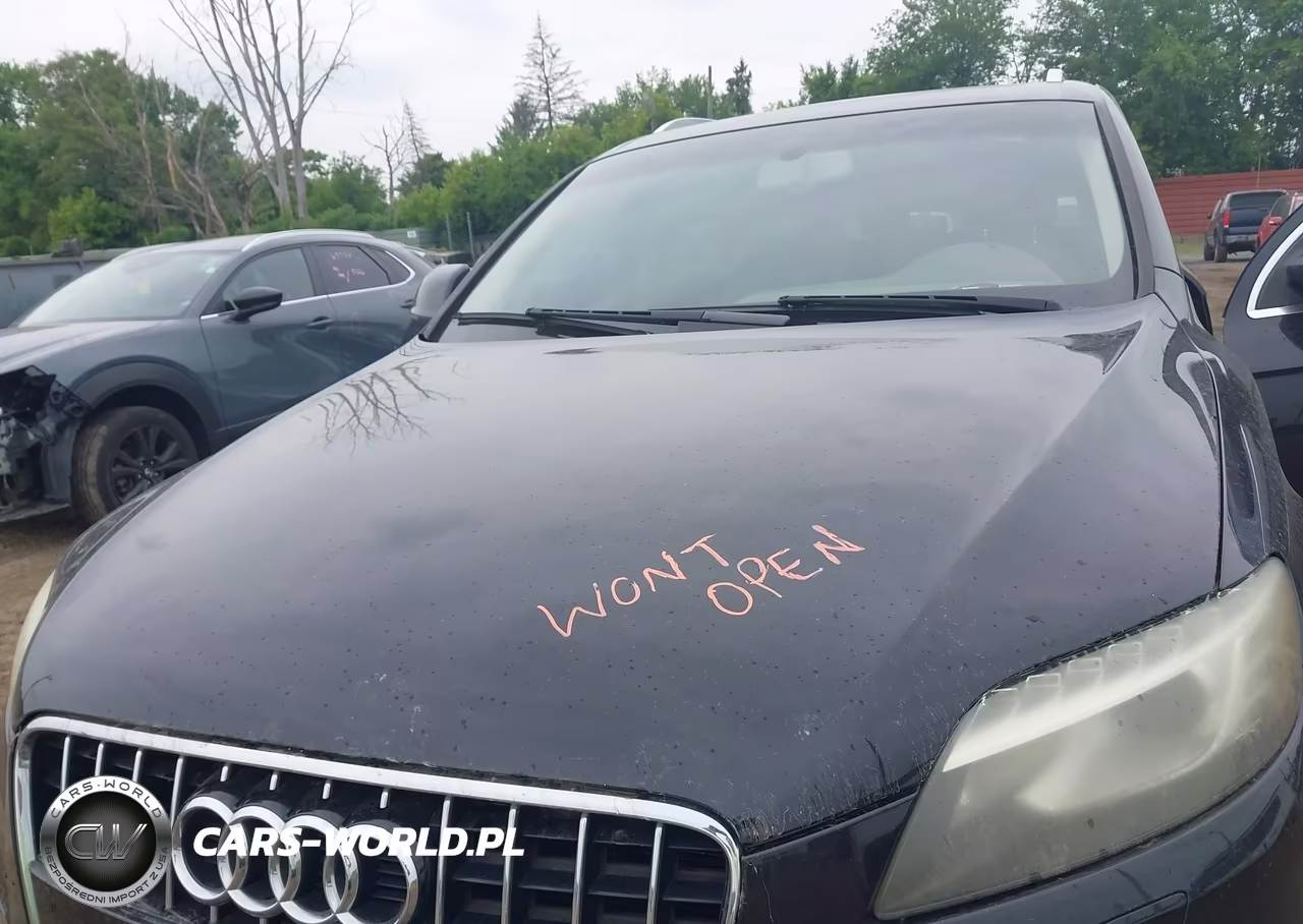 2014 Audi Q7 3.0T S Line Prestige VIN:WA1DGAFE8ED007357 - 10