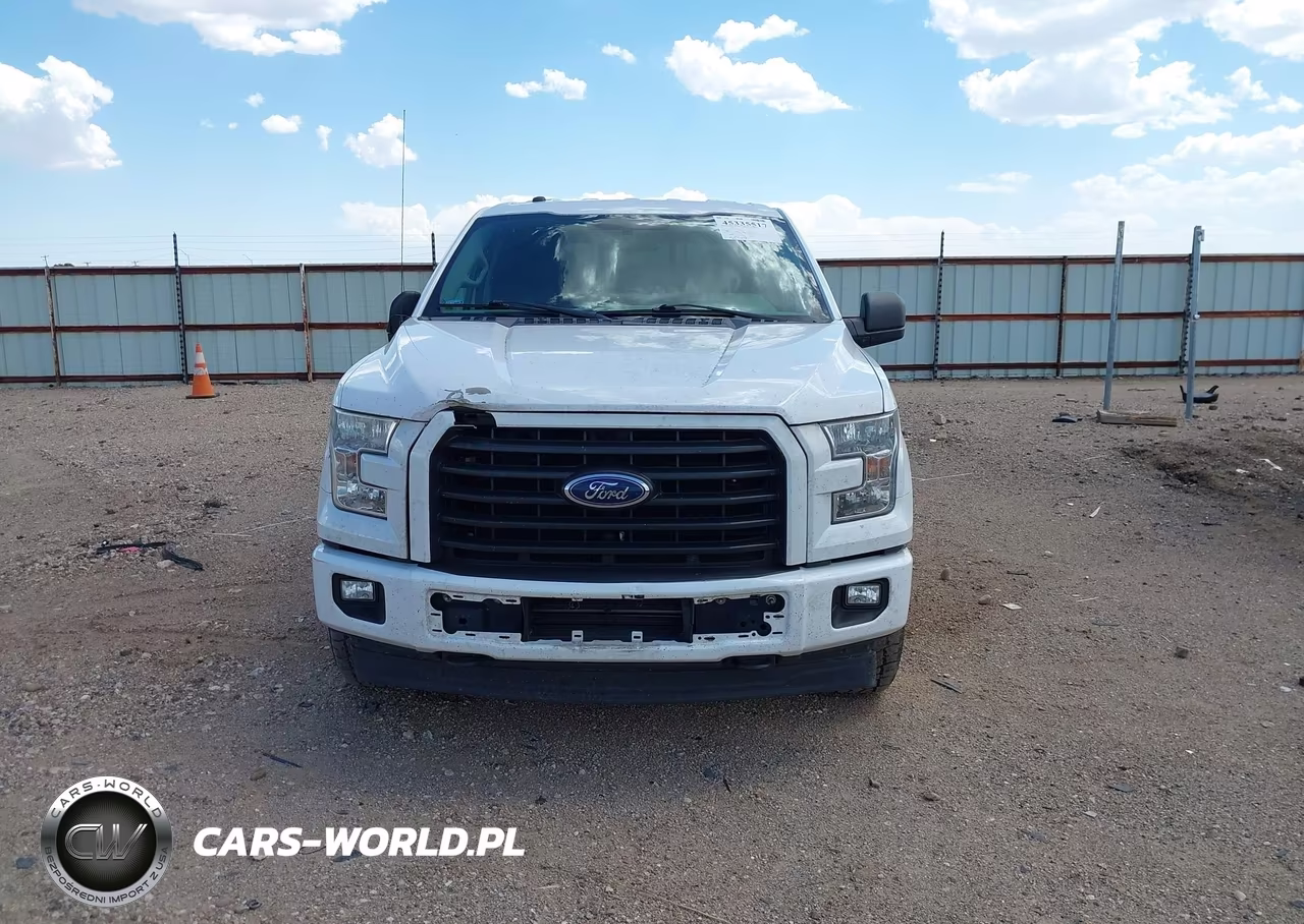 2017 Ford F-150 Xl VIN:1FTEX1EP4HKD02369 - 12