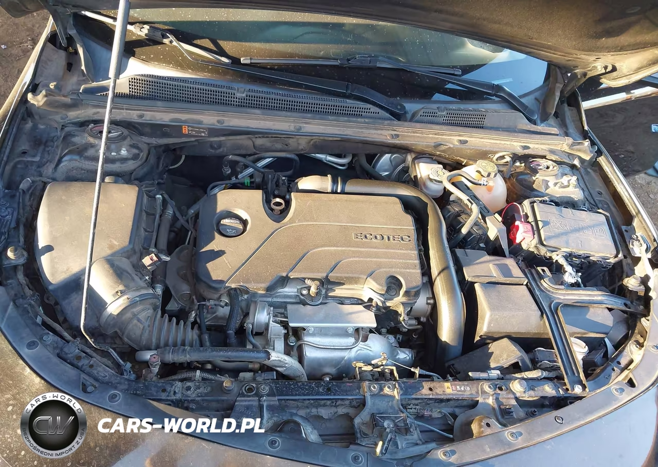 2019 Chevrolet Malibu Lt VIN:1G1ZD5ST7KF160367 - 10