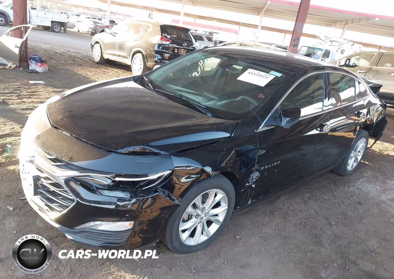 2019 Chevrolet Malibu Lt VIN:1G1ZD5ST7KF160367 - 2