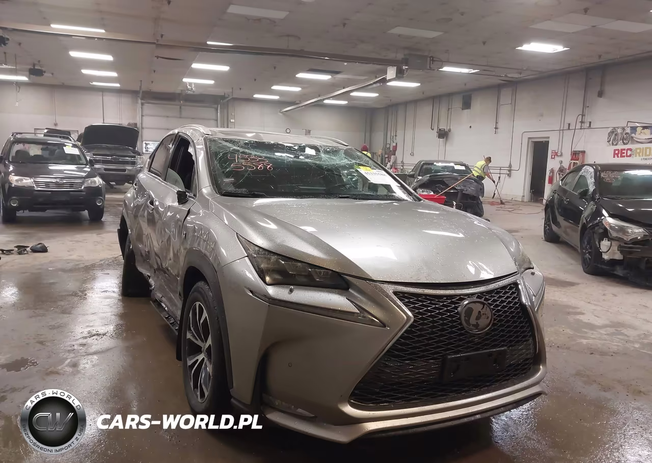 2016 Lexus Nx 200T VIN:JTJBARBZ7G2069754 - 6