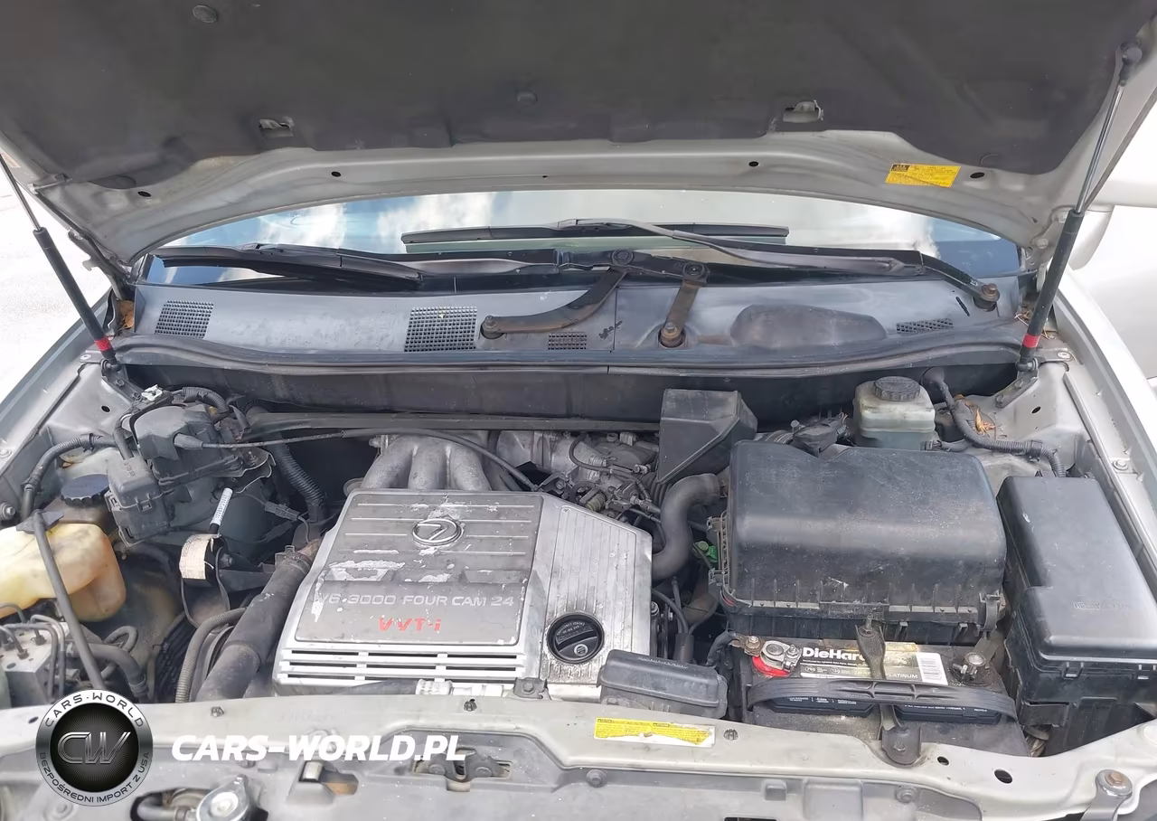 2003 Lexus Rx 300 VIN:JTJGF10U430156792 - 10