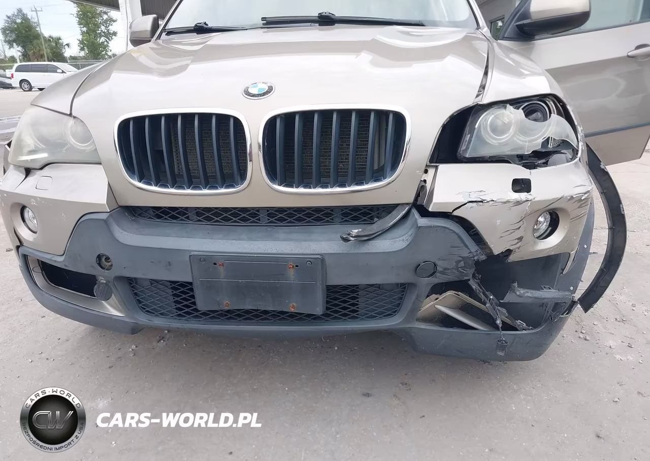 2008 BMW X5 3.0Si VIN:5UXFE43598L029399 - 12