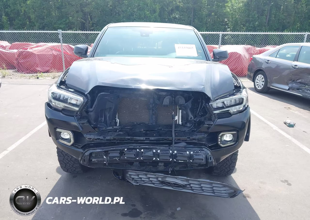 2023 Toyota Tacoma Trd Off Road VIN:3TMCZ5AN2PM565772 - 12