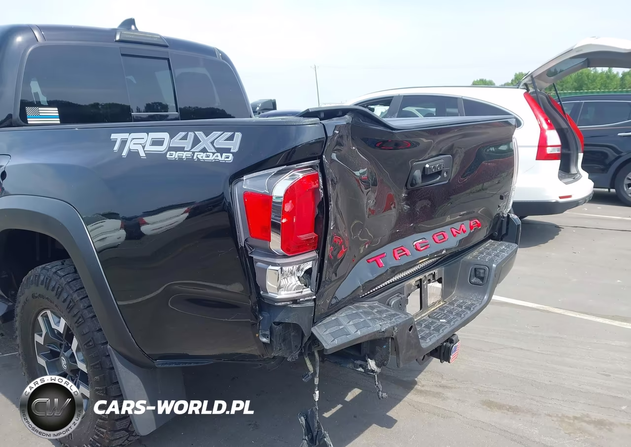 2023 Toyota Tacoma Trd Off Road VIN:3TMCZ5AN2PM565772 - 20