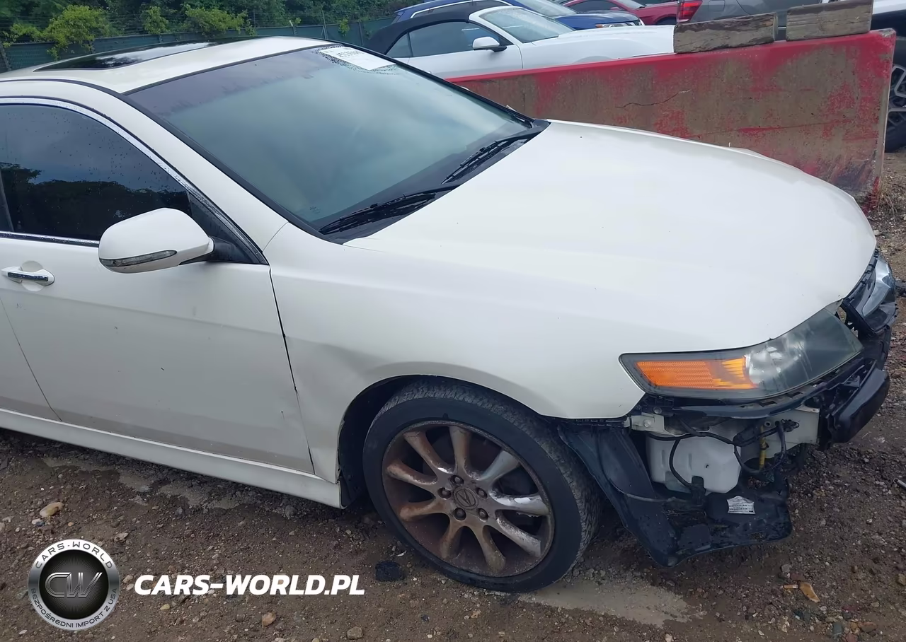 2006 Acura Tsx VIN:JH4CL96906C015117 - 14