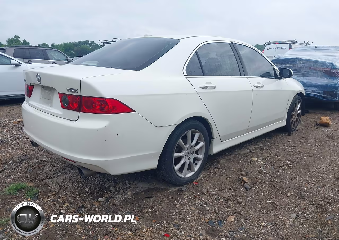 2006 Acura Tsx VIN:JH4CL96906C015117 - 4