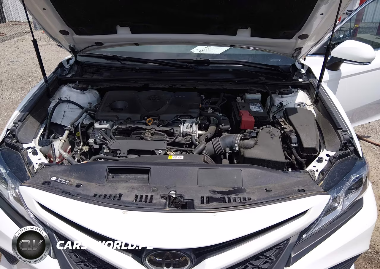2020 Toyota Camry Se VIN:4T1M11AK7LU999326 - 10
