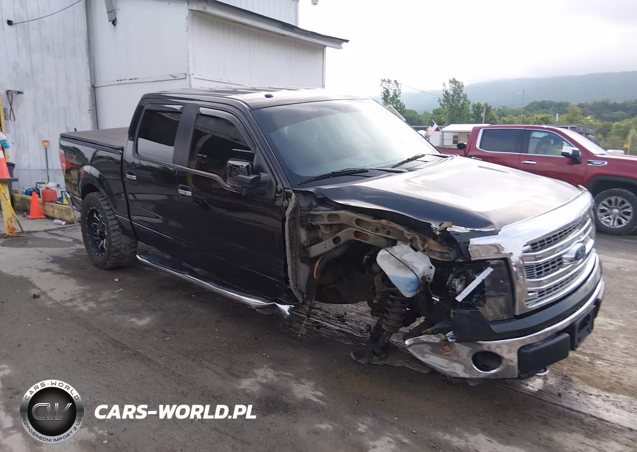 2013 Ford F-150 Xlt – zdjęcie 1 z 17