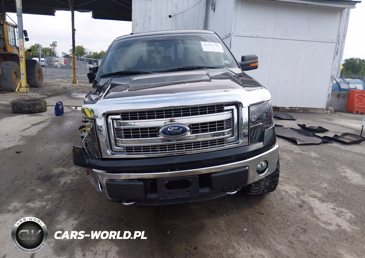 2013 Ford F-150 Xlt VIN:1FTFW1EF2DFD98018 - 13