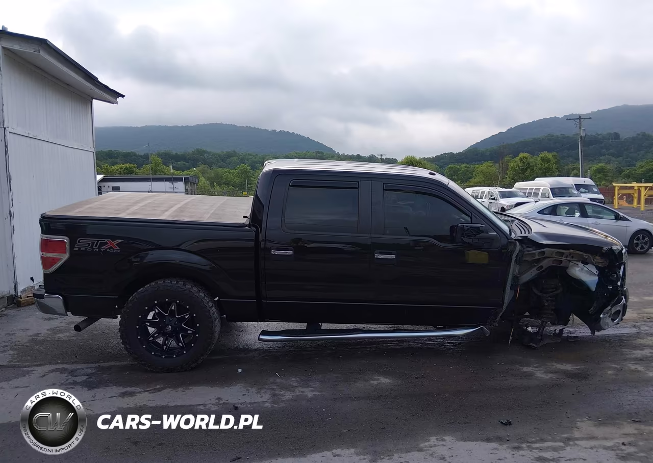 2013 Ford F-150 Xlt VIN:1FTFW1EF2DFD98018 - 14