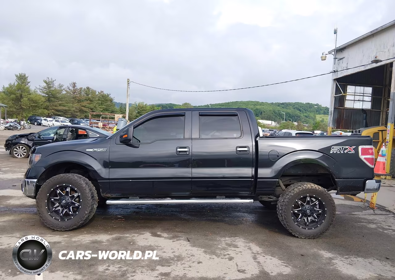 2013 Ford F-150 Xlt VIN:1FTFW1EF2DFD98018 - 15
