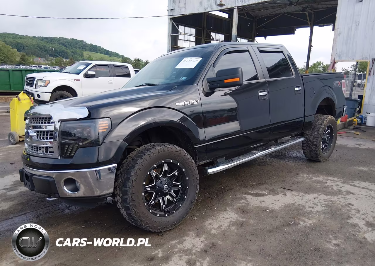 2013 Ford F-150 Xlt VIN:1FTFW1EF2DFD98018 - 2