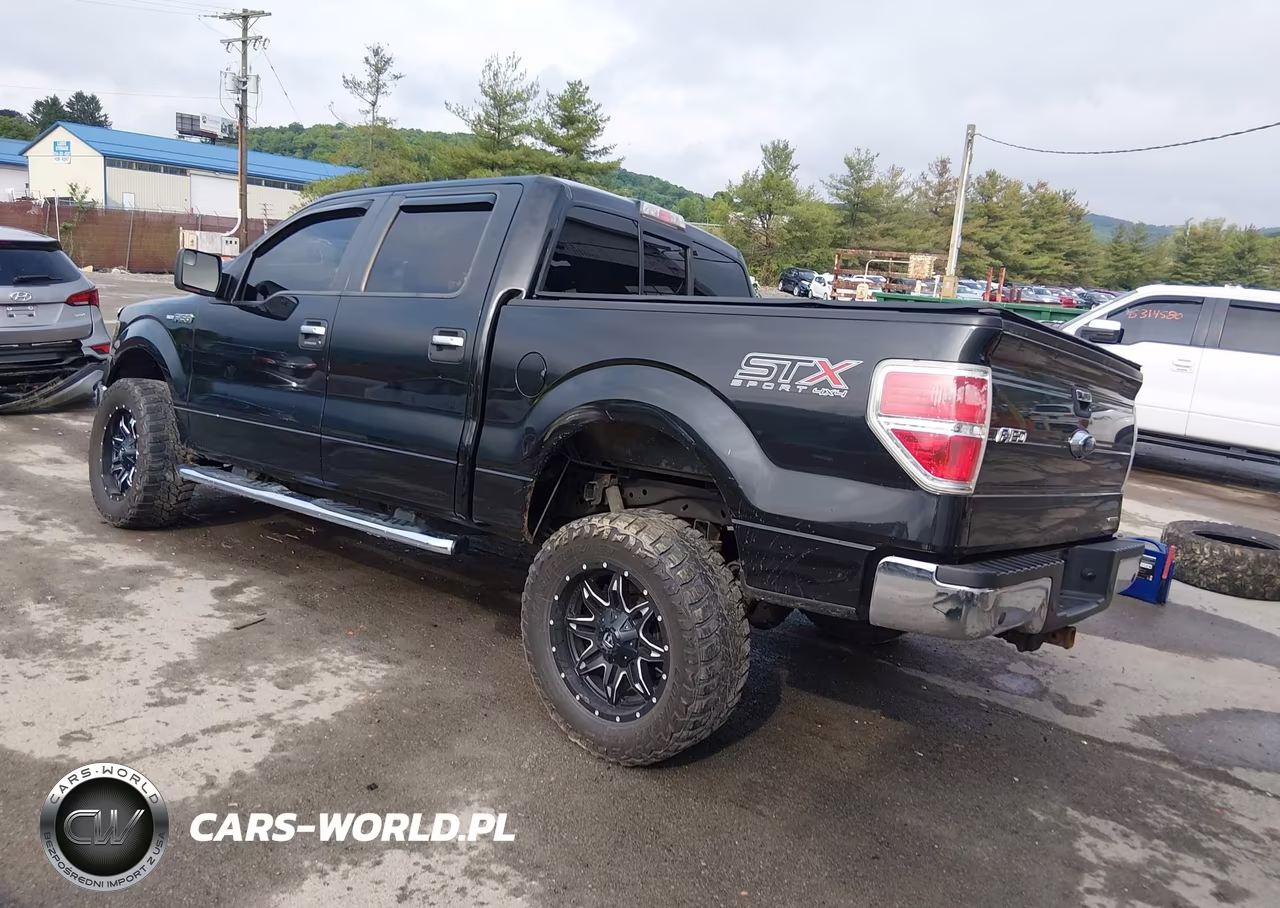 2013 Ford F-150 Xlt VIN:1FTFW1EF2DFD98018 - 3