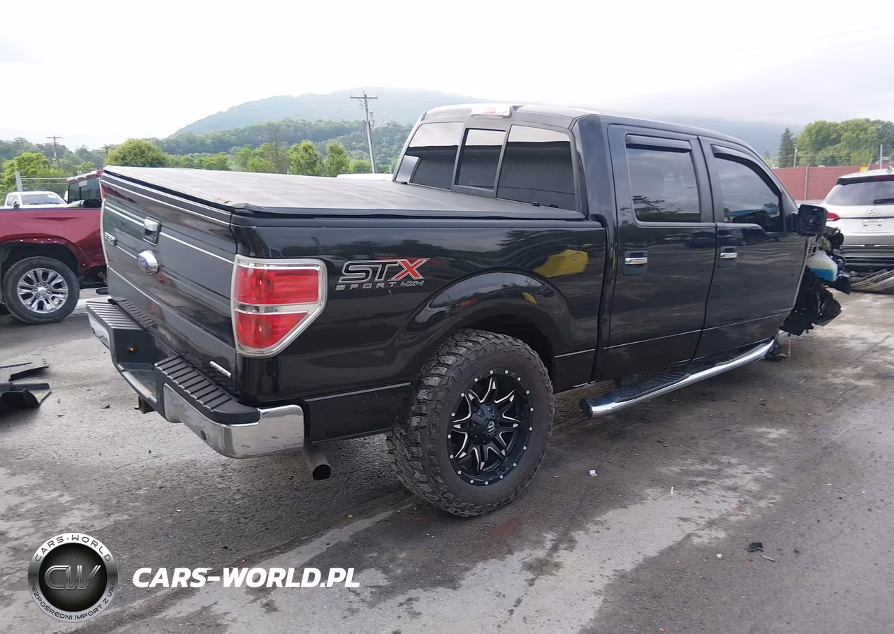 2013 Ford F-150 Xlt VIN:1FTFW1EF2DFD98018 - 4