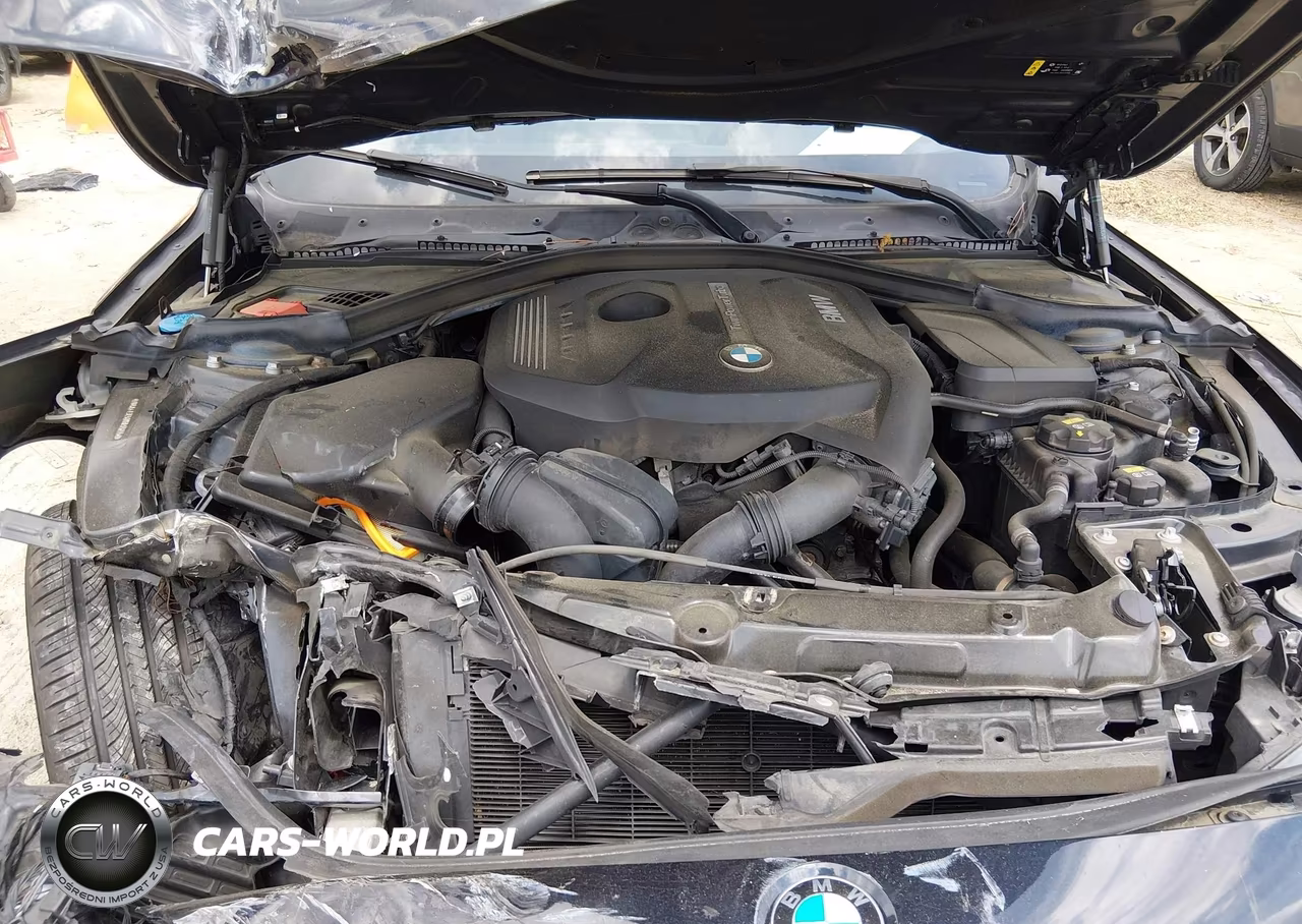 2019 BMW 430I Gran Coupe xDrive VIN:WBA4J3C58KBL05855 - 10