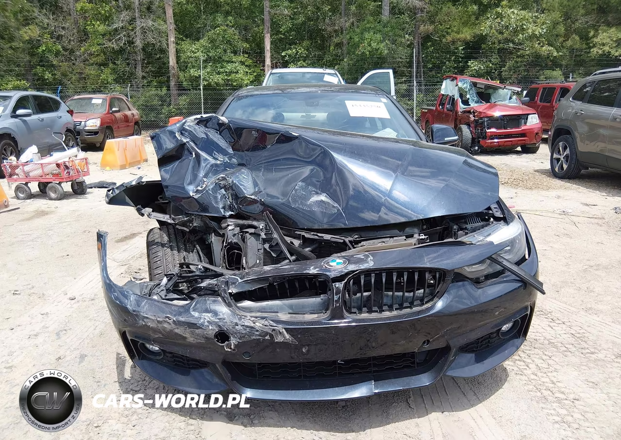 2019 BMW 430I Gran Coupe xDrive VIN:WBA4J3C58KBL05855 - 12