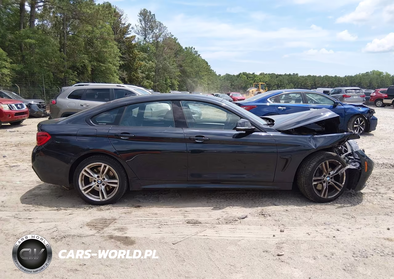 2019 BMW 430I Gran Coupe xDrive VIN:WBA4J3C58KBL05855 - 13