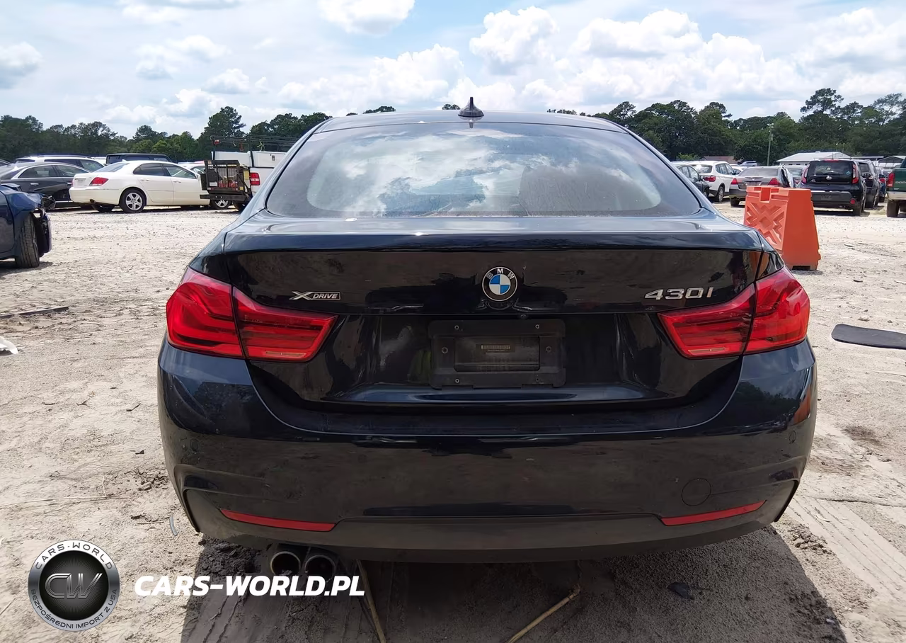 2019 BMW 430I Gran Coupe xDrive VIN:WBA4J3C58KBL05855 - 16