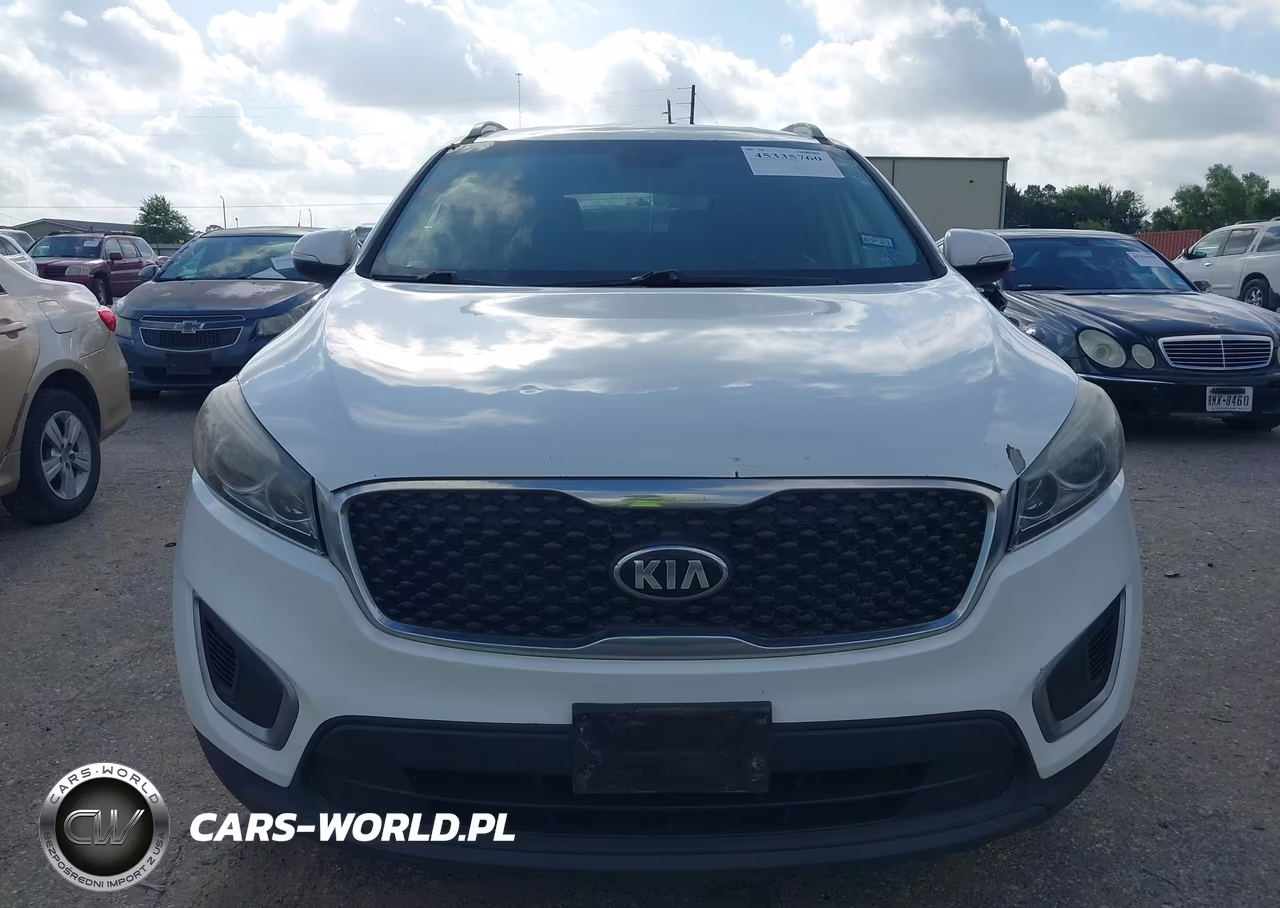 2017 Kia Sorento 2.4L Lx VIN:5XYPG4A34HG328988 - 12