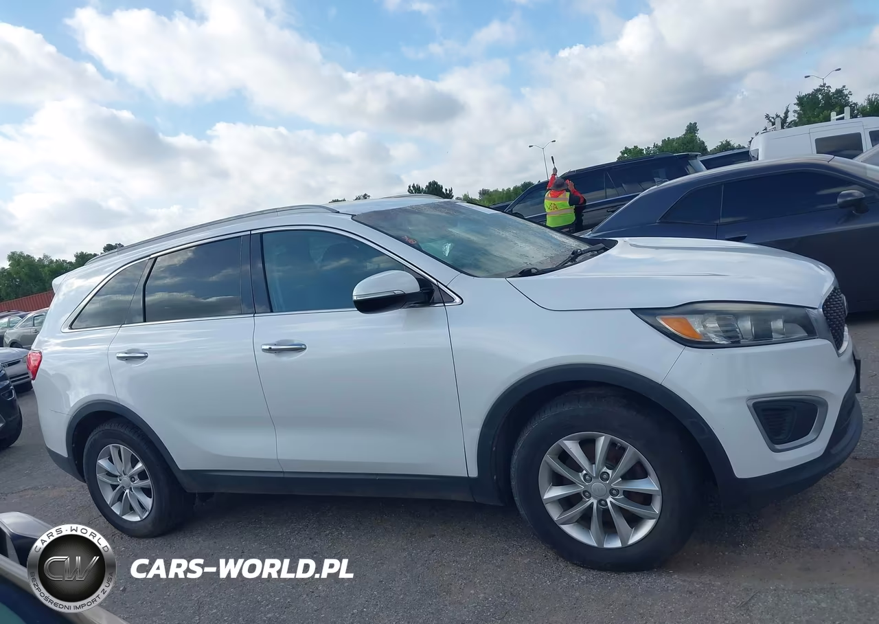 2017 Kia Sorento 2.4L Lx VIN:5XYPG4A34HG328988 - 13
