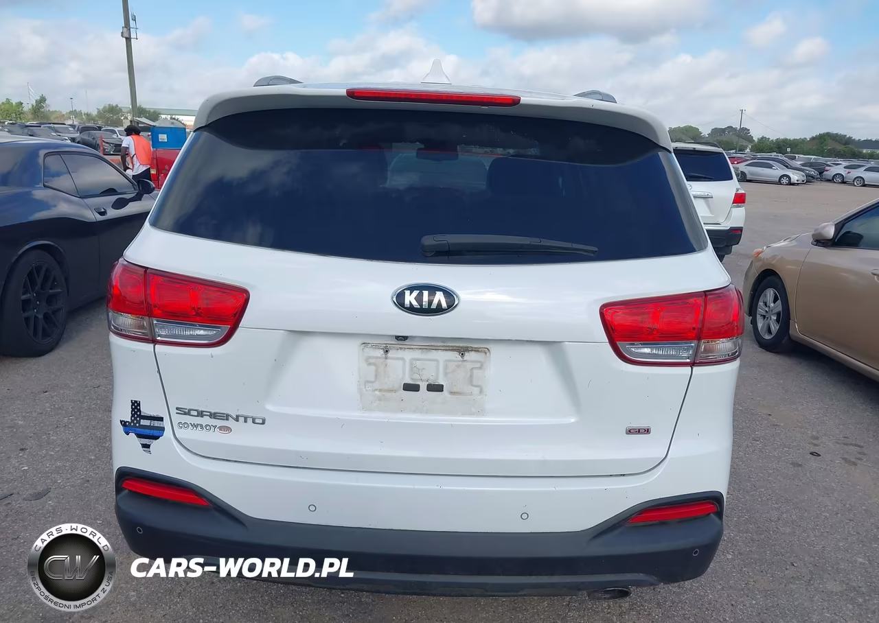 2017 Kia Sorento 2.4L Lx VIN:5XYPG4A34HG328988 - 16