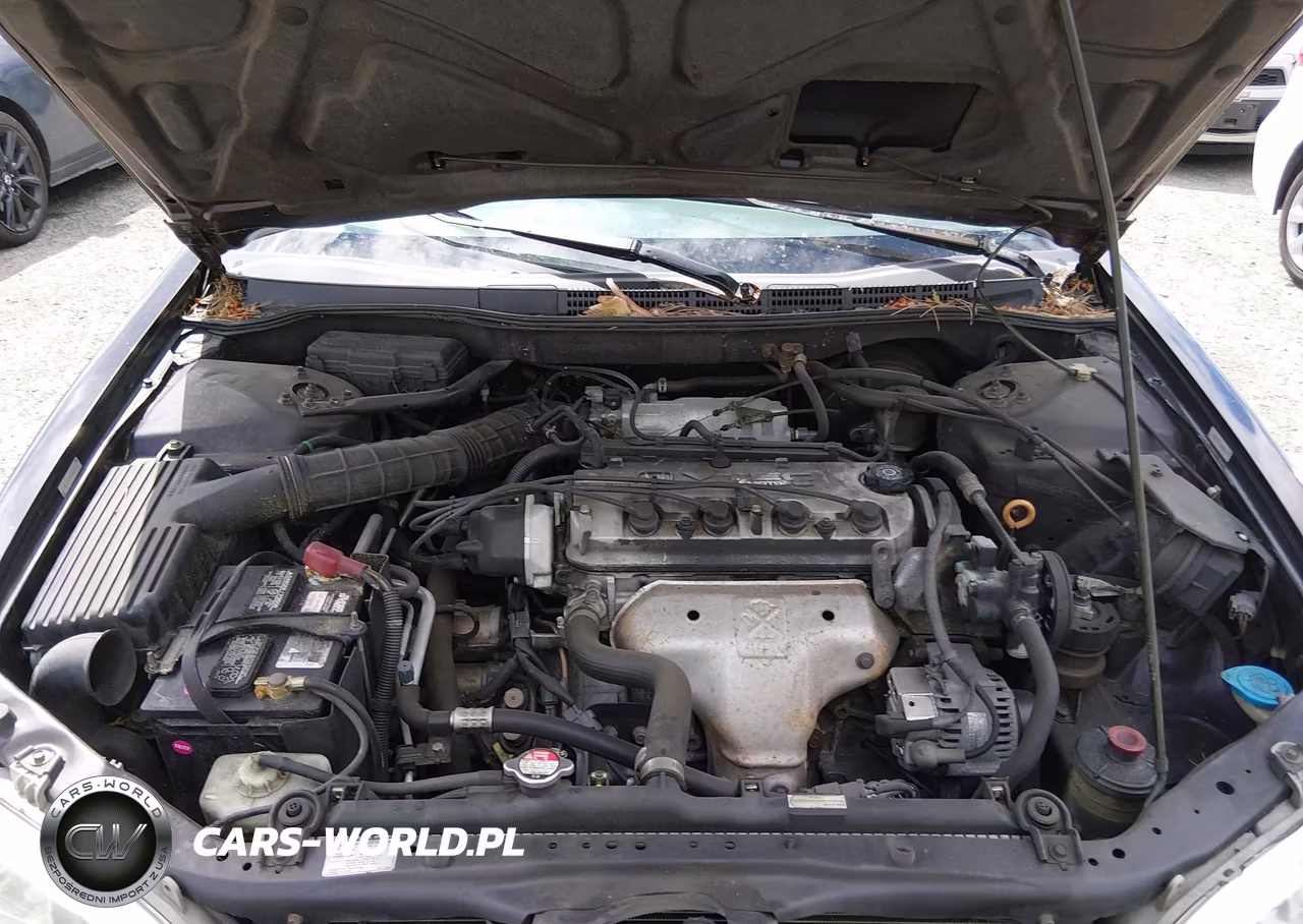 1998 Honda Accord Lx VIN:1HGCG324XWA000246 - 10