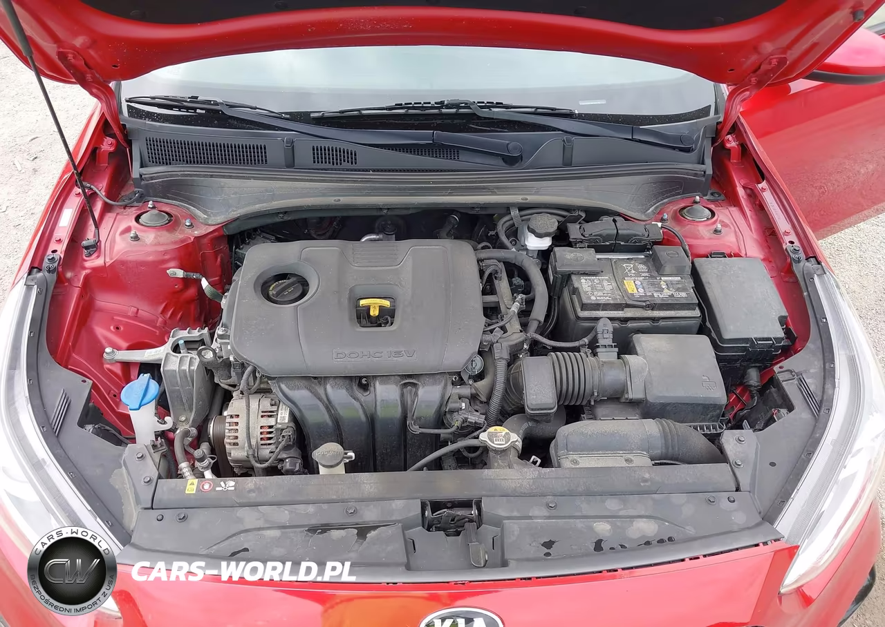 2021 Kia Forte Lxs VIN:3KPF24AD1ME390178 - 10