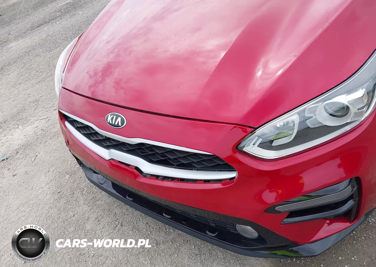 2021 Kia Forte Lxs VIN:3KPF24AD1ME390178 - 20