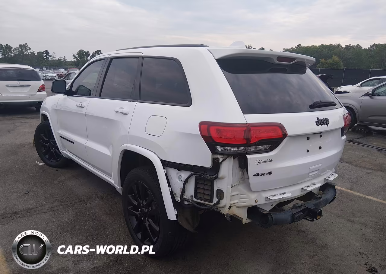 2019 Jeep Grand Cherokee Altitude 4X4 VIN:1C4RJFAG2KC810833 - 3