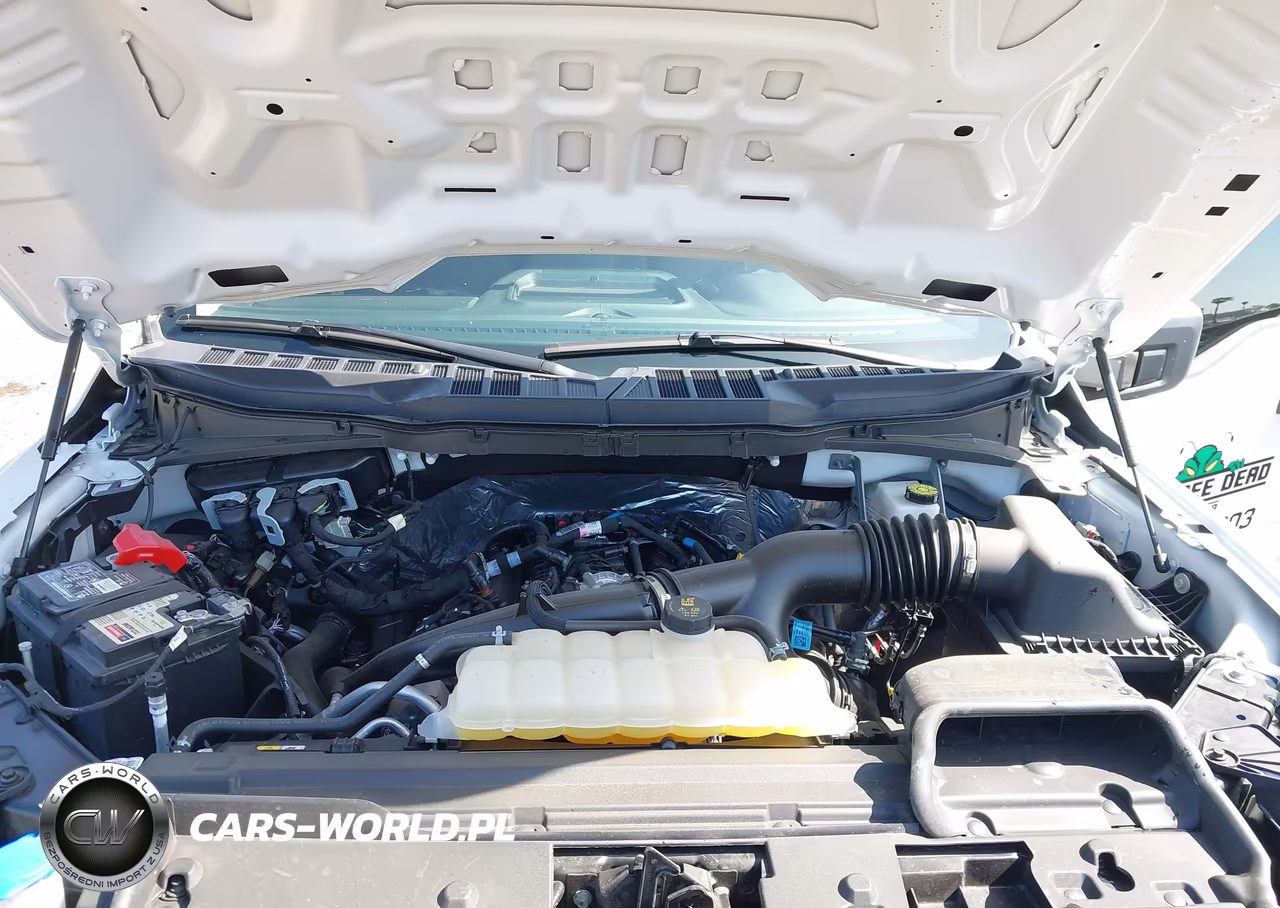 2025 Ford F-150 Xl VIN:1FTMF1KP0SKD78262 - 10