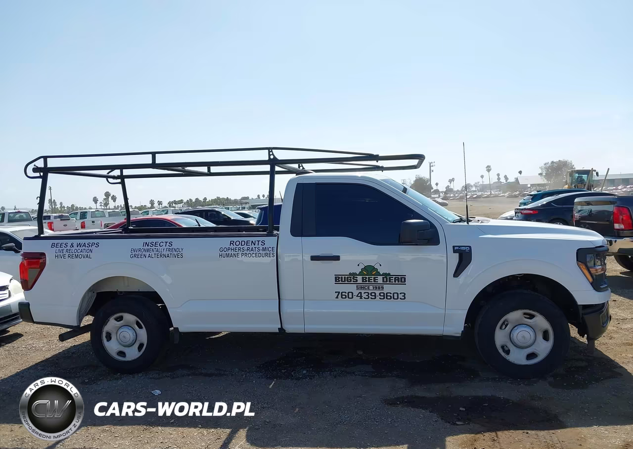2025 Ford F-150 Xl VIN:1FTMF1KP0SKD78262 - 13