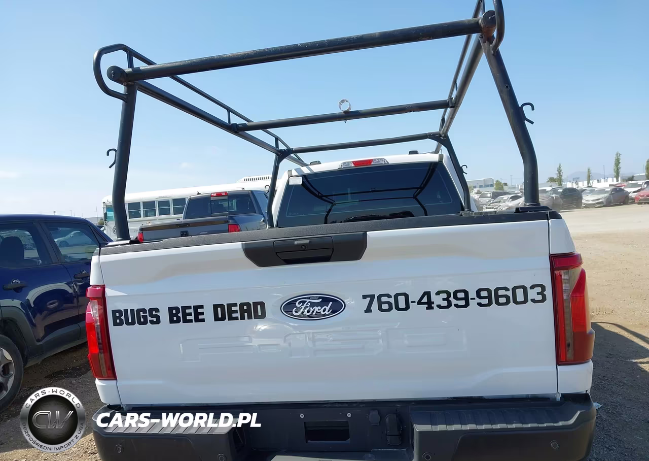 2025 Ford F-150 Xl VIN:1FTMF1KP0SKD78262 - 16