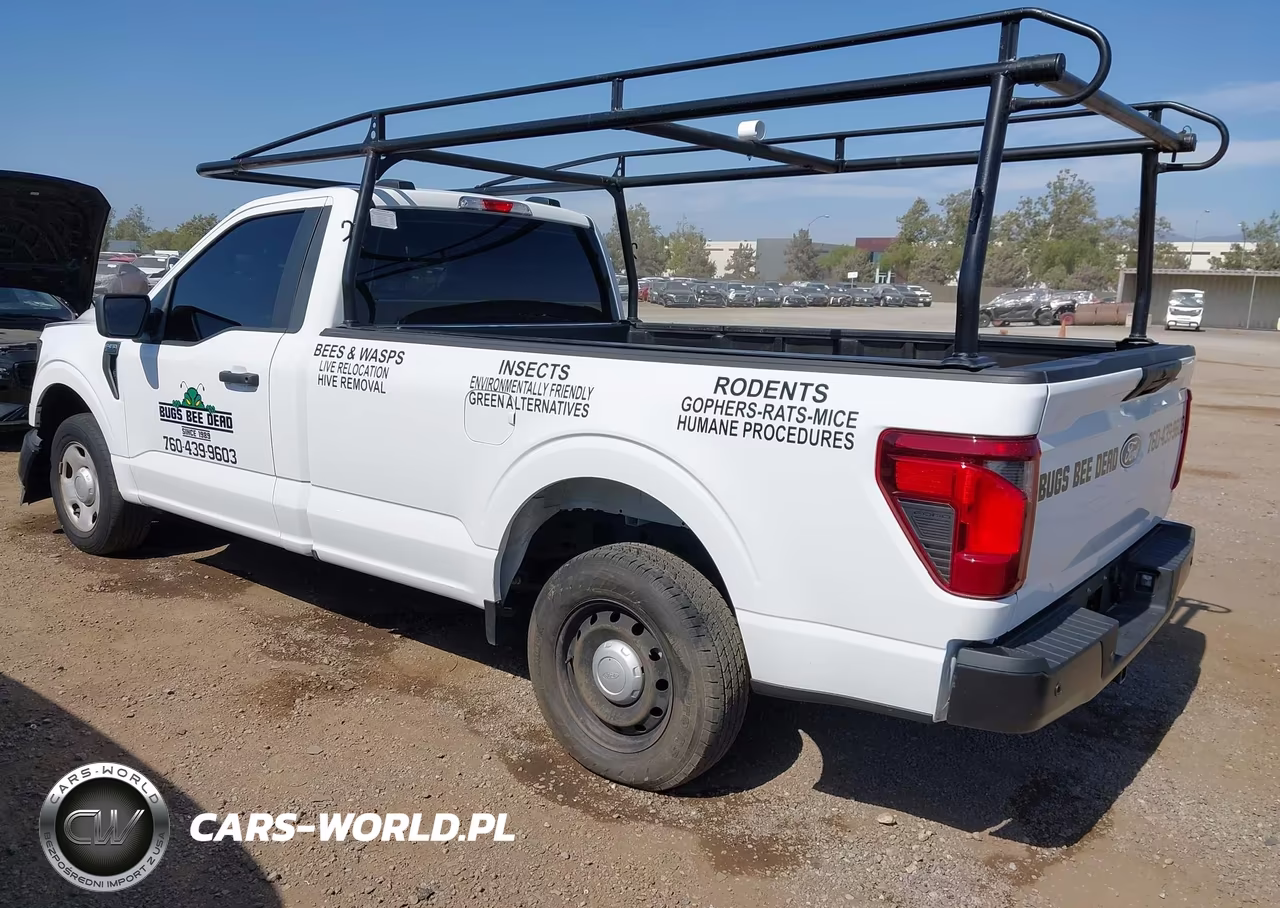 2025 Ford F-150 Xl VIN:1FTMF1KP0SKD78262 - 3