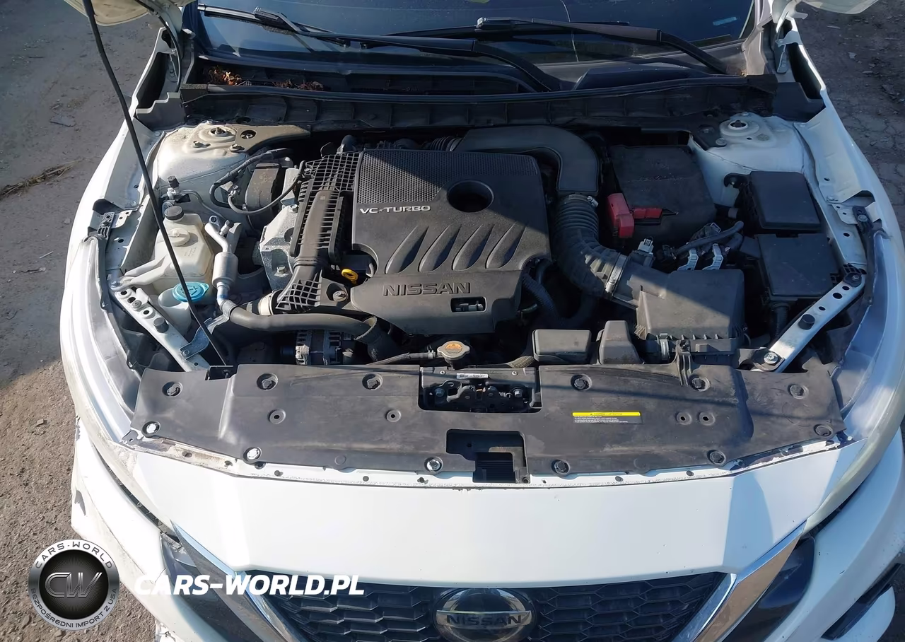 2019 Nissan Altima 2.0 Platinum VIN:1N4AL4FV1KC244723 - 10