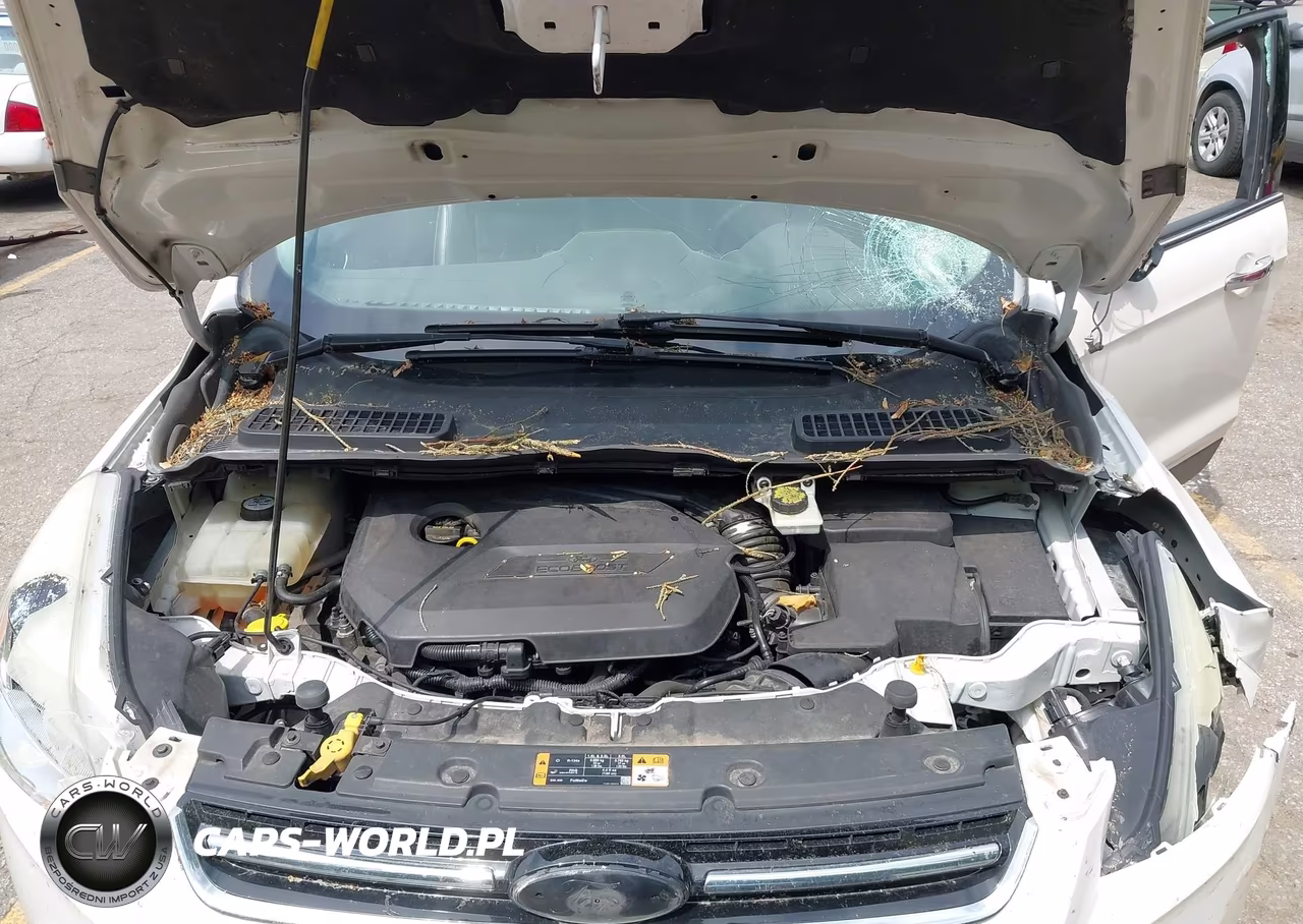 2014 Ford Escape Titanium VIN:1FMCU9JX1EUE22288 - 10