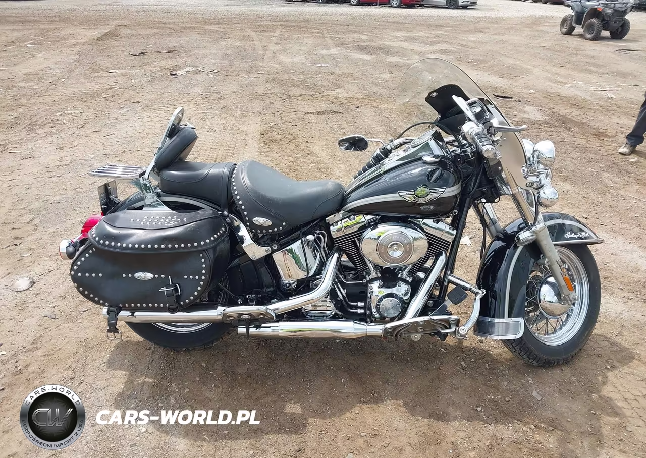 2003 Harley-Davidson Flstci VIN:1HD1BWB123Y048966 - 11