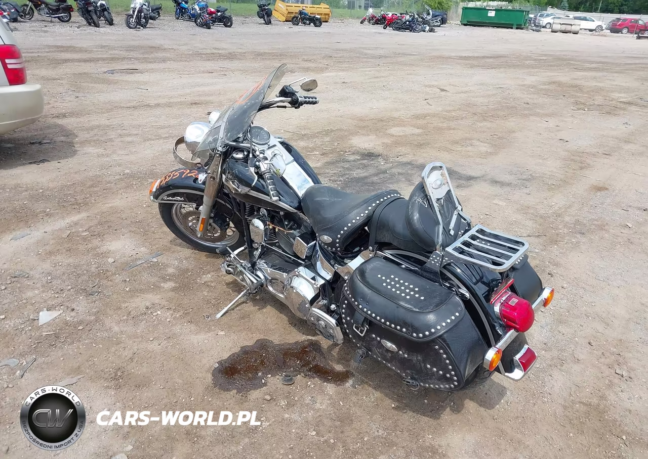 2003 Harley-Davidson Flstci VIN:1HD1BWB123Y048966 - 3