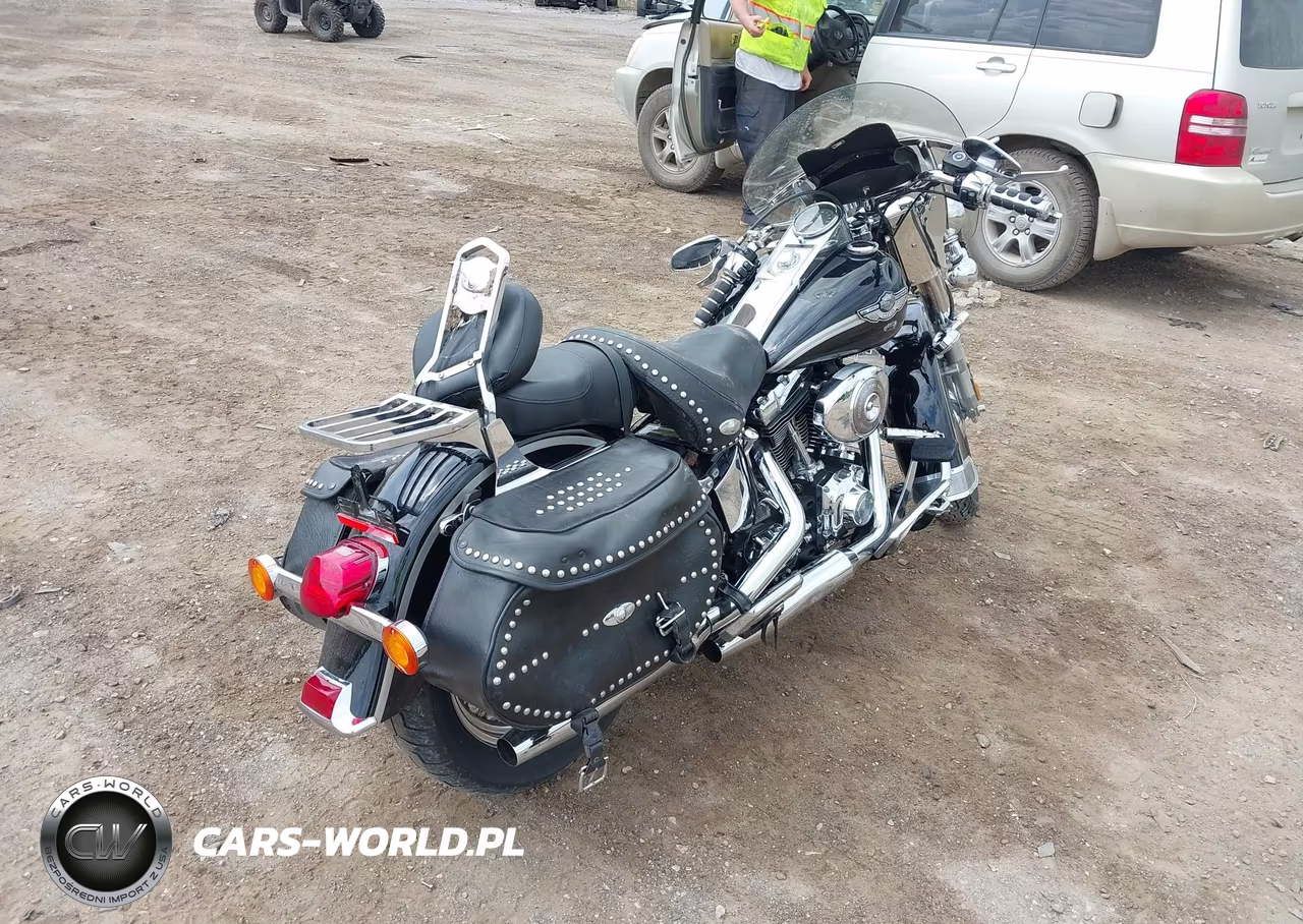 2003 Harley-Davidson Flstci VIN:1HD1BWB123Y048966 - 4